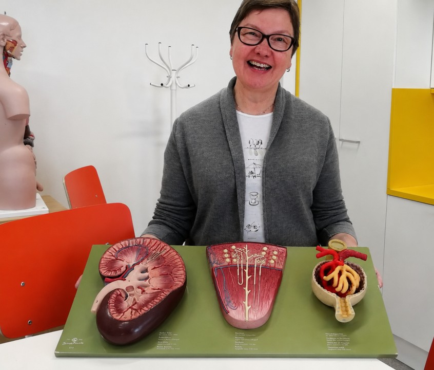 Lääketieteen perusteet 14op