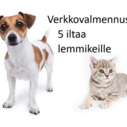 Eläinhomeopatia