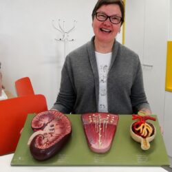 Lääketieteen perusteet