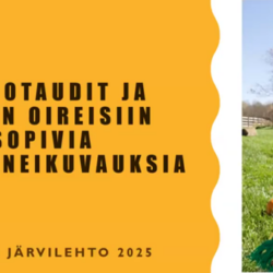 Rokkotaudit eli rokot akuutisti homeopatialla apua. Silmä- ja korvatulehdukset homeopatia avuksi
