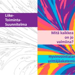 Liike-toiminta-suunnitelma Hyvivointialan yrittäjäakatemia